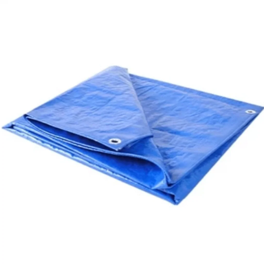 Blue Tarp Ten By Sixteen - Image 2