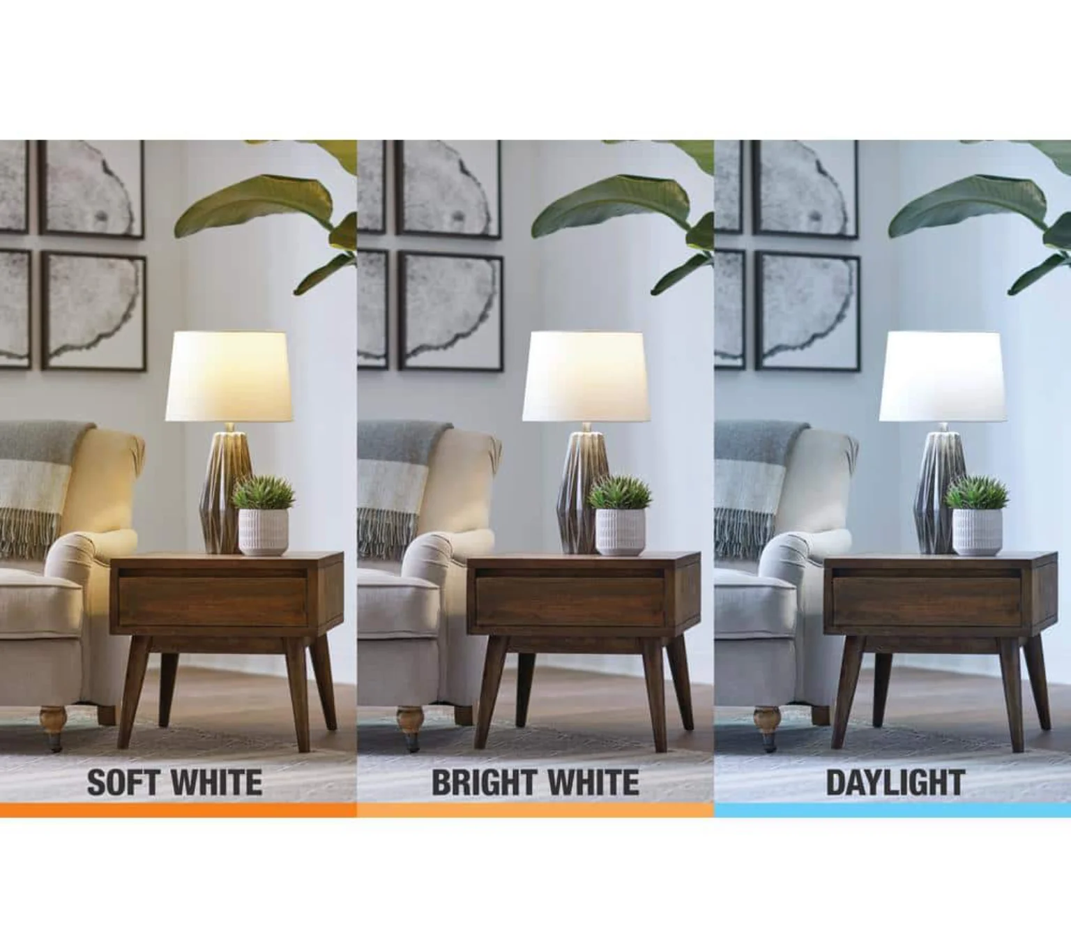 Ecosmart 90-Watt Equivalent PAR38 Non-Dimmable Flood LED Light Bulb Daylight (4-Pack) Damaged Box - Image 3