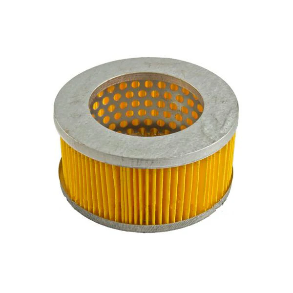 Intake Filter Element Kit
