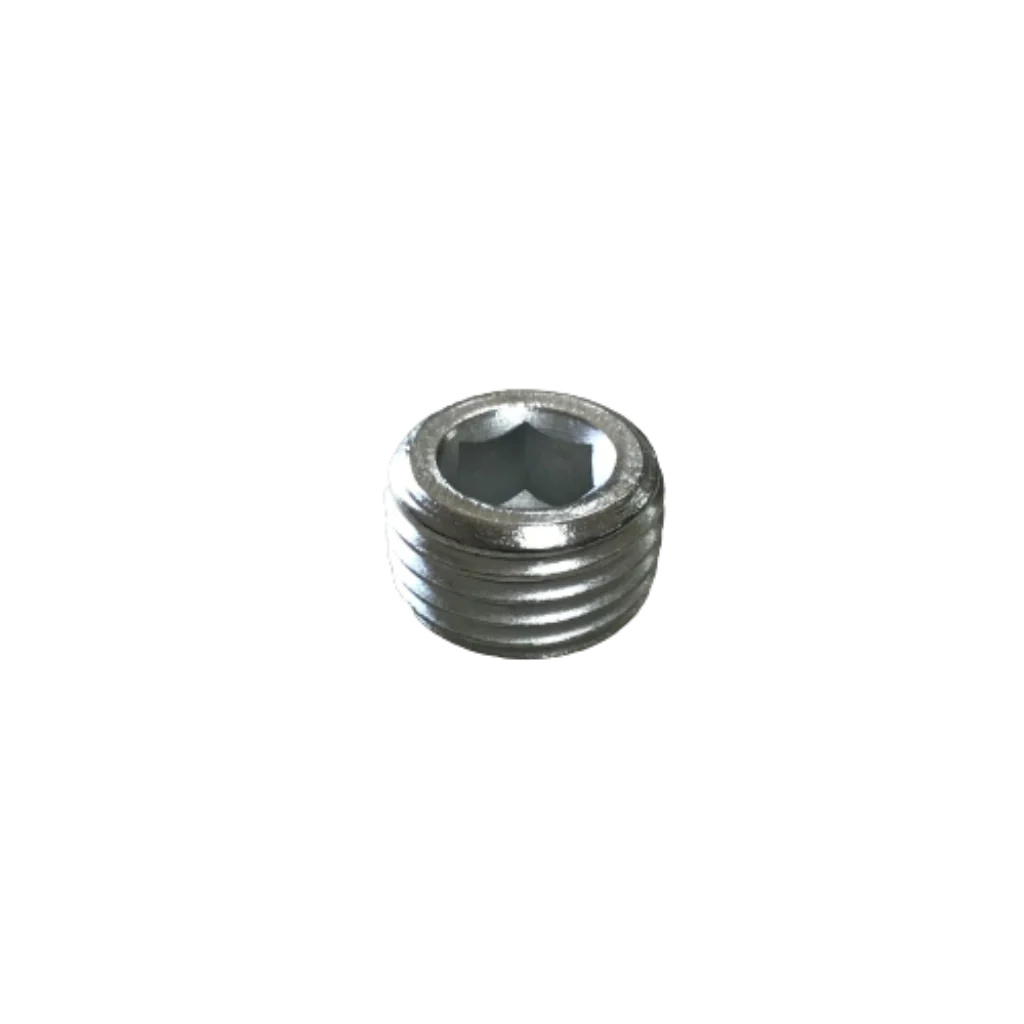 Manifold Plug