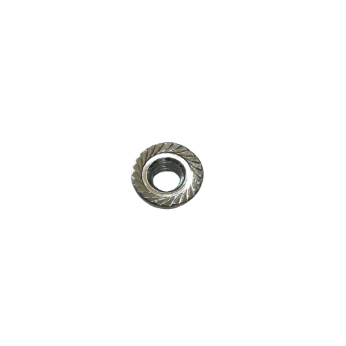 Nut - Image 2