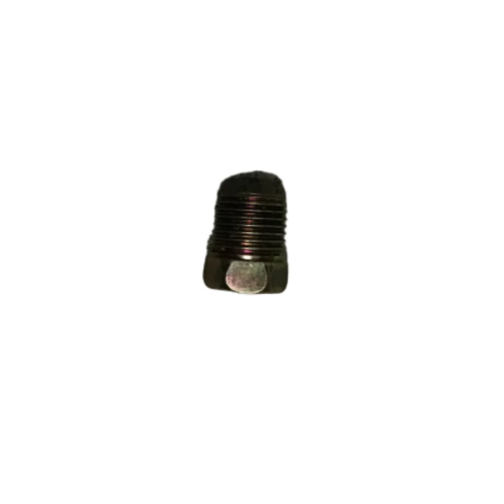 Oil Drain Plug